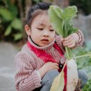 서정농장 이미지