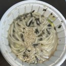 현풍닭칼국수동성로점 | [대구/중구] 현풍닭칼국수 동성로점 | 포장 후기