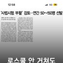브로우;딘