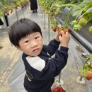 수혁농장 이미지