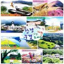 부곡투우장 네이버블로그