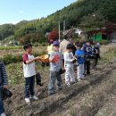 본동초등학교 이미지