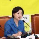 심상정 카카오 검색결과