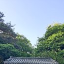 봄을 느끼며 찾아보는 봉정사