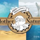 앤씨개발 이미지