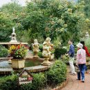 나라농원 이미지