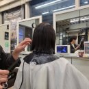 이백뜰애 | 노원역 미용실 노원 염색 단발컷 어반트랜드 민우원장