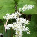 형규목장 이미지