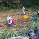 팔선농장 이미지