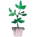 컴포즈커피서대전네거리점 이미지