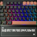 아라PC | 저소음 유무선 기계식 키보드 추천, SPM PL108W 아라 블랙 새벽축 리니어 후기