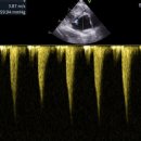 샤인고양이메디컬센터 이미지