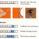 인천동물약국 이미지