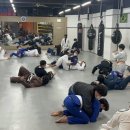 본주짓수평택안중 이미지