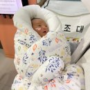 서재프라자 | 분당 산후조리원 포스피탈림 내돈내산 2주 후기 단유후 가슴마사지까지 에메랄드룸