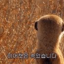 구이어