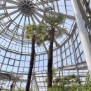 토마토어린이집 | [평택] 숨은 나들이 장소, 평택시자연테마식물원+토마토카페 같이 다녀온 후기