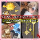은화대리점 | 종로금거래소 1984건대점 24K 순금시세 돌반지 시계 건전지교환 내돈내산 후기