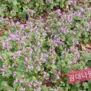 내태1리 이미지