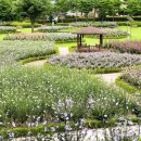 장성공원 경관폭포 이미지