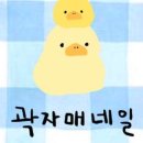 곽자매네일
