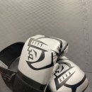 플렉스 복싱 PT 이미지