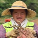 혜성농장 이미지