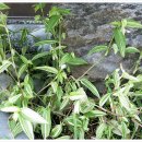 이학영 농장 이미지