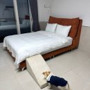 나는댕댕이다 | 남해 댕댕이 애견 펜션 블루 | 개별 운동장이 있는 애견 동반 펜션 바베큐 이용후기