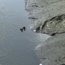 남동구노인인력개발센터카페2;소래습지점 | 인천 아기랑 가볼만한곳 소래습지생태공원 주차장 갯벌체험장