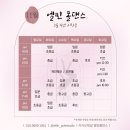 엘핀폴스튜디오