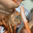 부자수산 - 하동군 선창길 24 | 부자수산