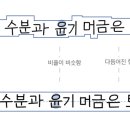 상업용 32 이미지