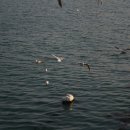 광안테마거리 이미지