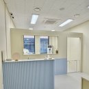 또리네 멍멍이 미용실 | 🐶 애견미용사한테 처음 강아지 키울 때 가장 많이 묻는 질문 TOP5