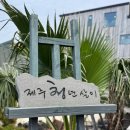 제주청년살이 네이버블로그