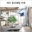 대정읍 좌기동놀이터 | 제주 서귀포 애견동반 대형 카페 돌고래 스팟 블루웨일