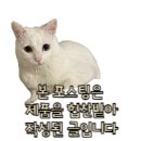 나노워시 | 나노네츄럴 한가인바디워시 자몽샴푸 바디워시