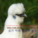 백봉농장 이미지