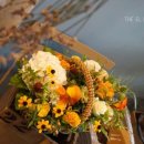 사파동350 이미지