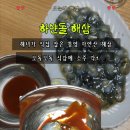 하얀돌PC | 통영특산물 자연산 해삼 솔직후기｜해녀가 잡은 활 해삼