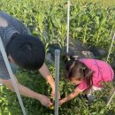 임대길농장 이미지