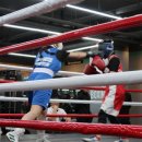 용인대 SM복싱클럽 이미지