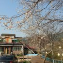 냇가민박 이미지