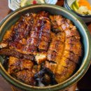 오늘도 장어 이미지