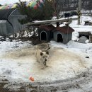 해진농장 이미지