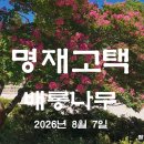 명재고택배롱나무 이미지