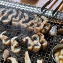 오리마당돼지천하