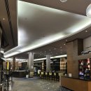 [🇺🇸LA] 베니스비치 도보 15분! 마리나 델 레이 메리어트 솔직 후기 (Marina del Rey Marriott)