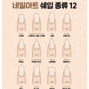 연네일 이미지